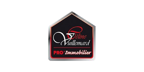 Pro Immobilier